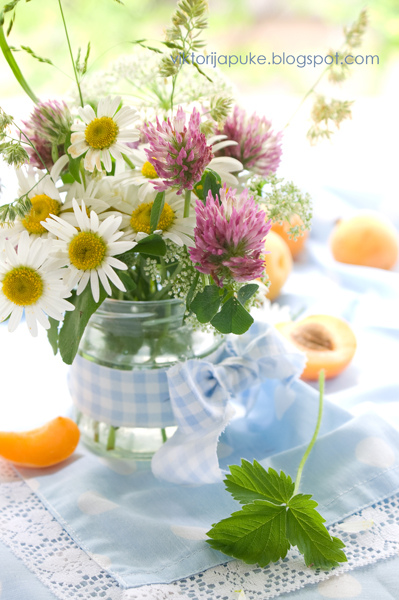Wild flowers
